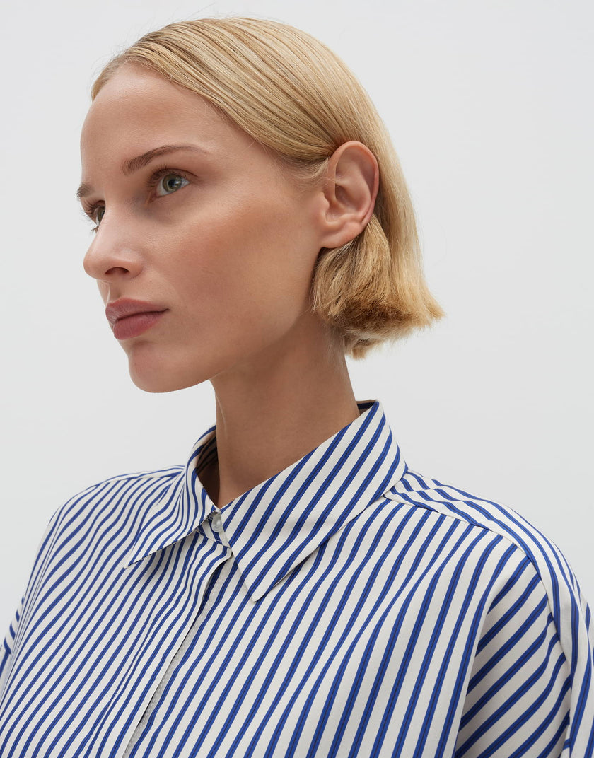 Bluse - Zvenja