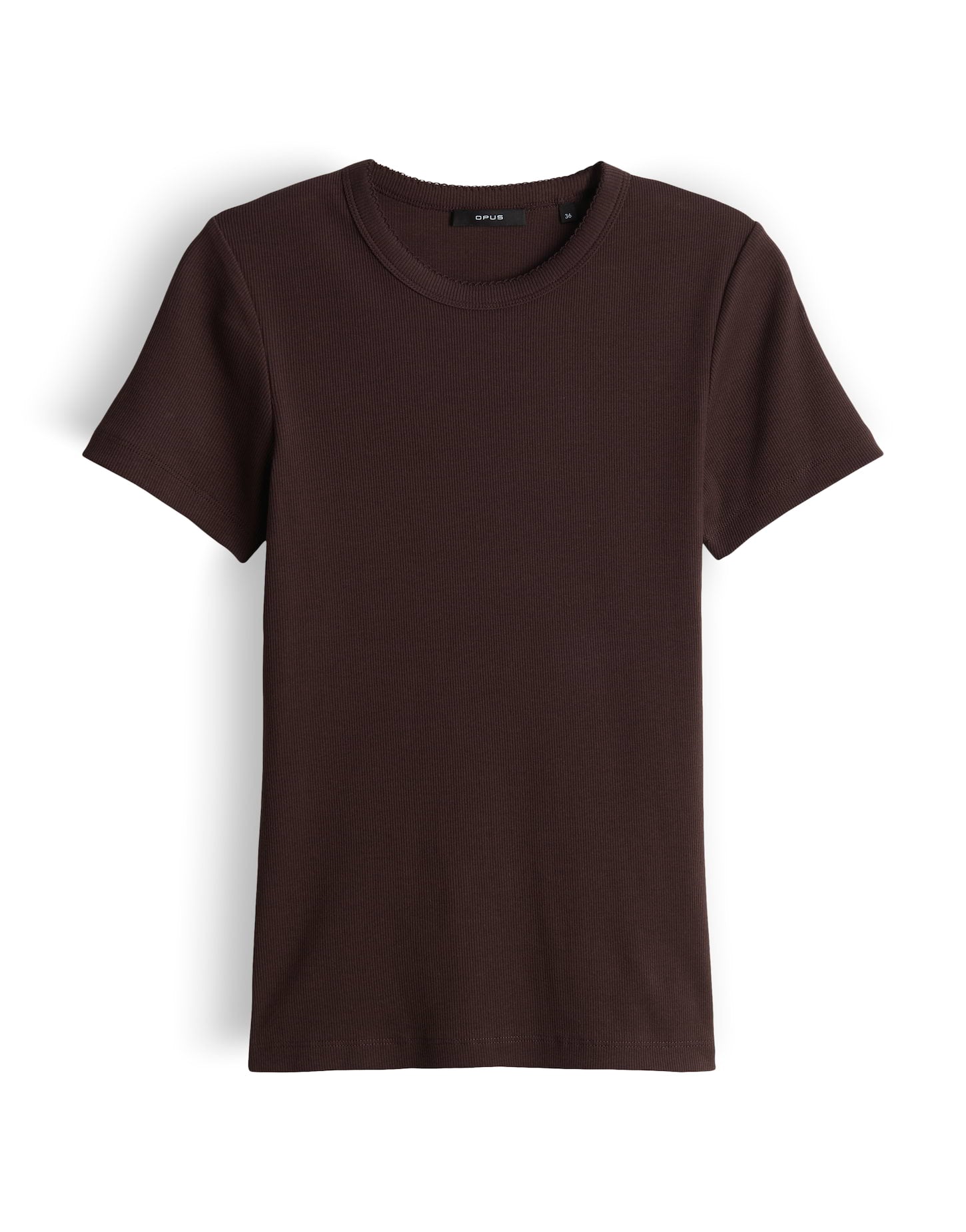T-Shirt - Samuna scallop