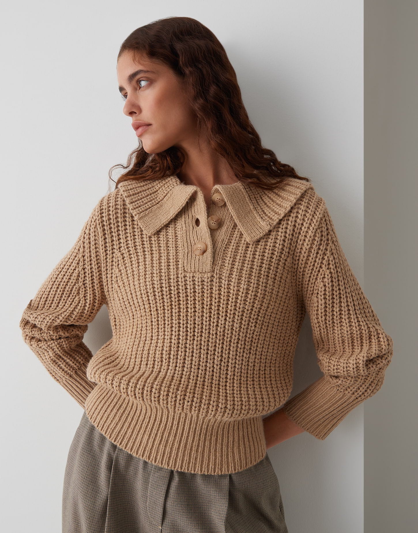 Pullover - Proyer