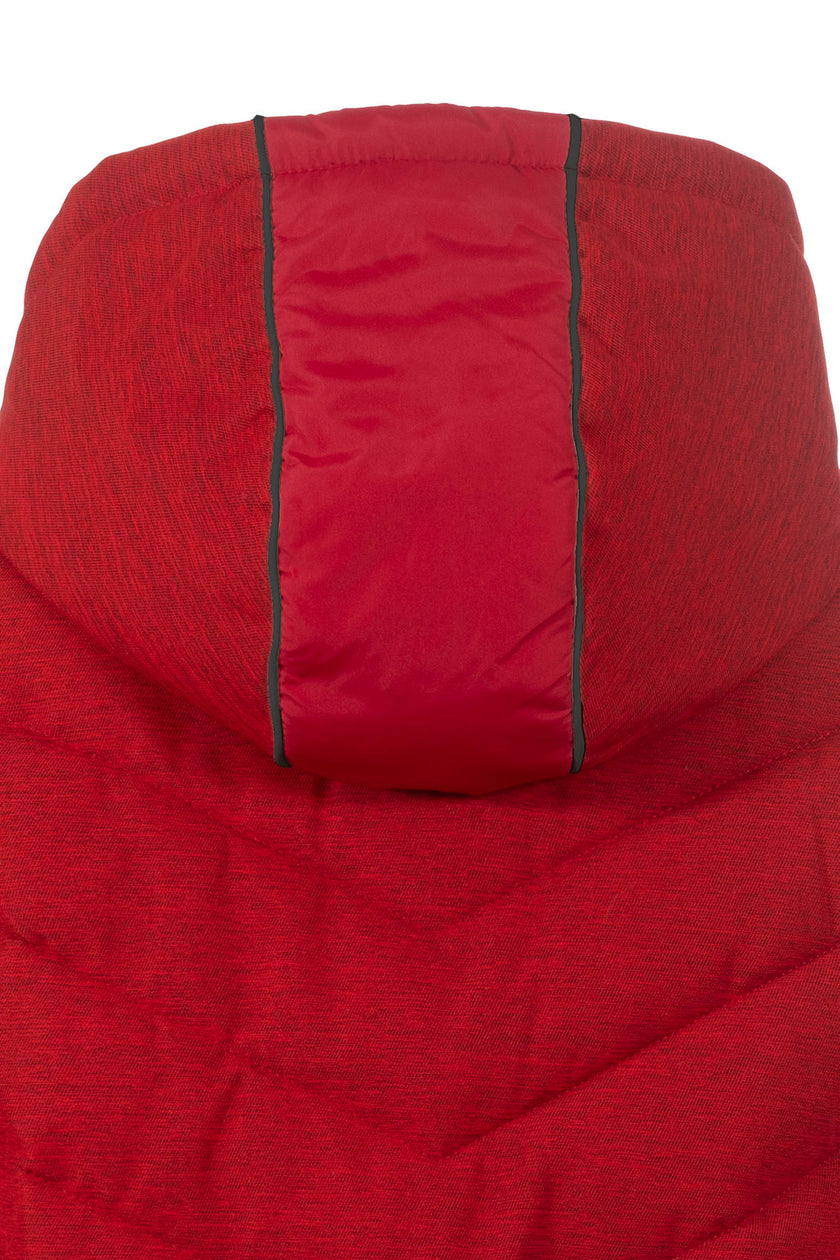 ONLINE EXCLUSIV - Jacke - Stepp