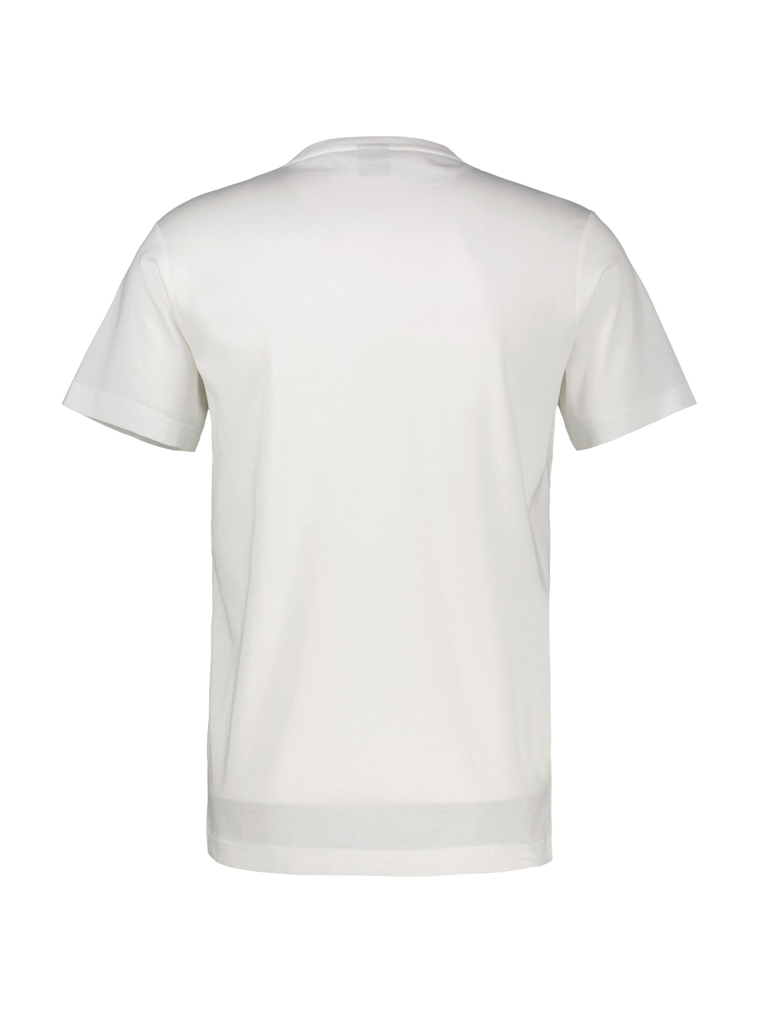 T-Shirt - Frontprint