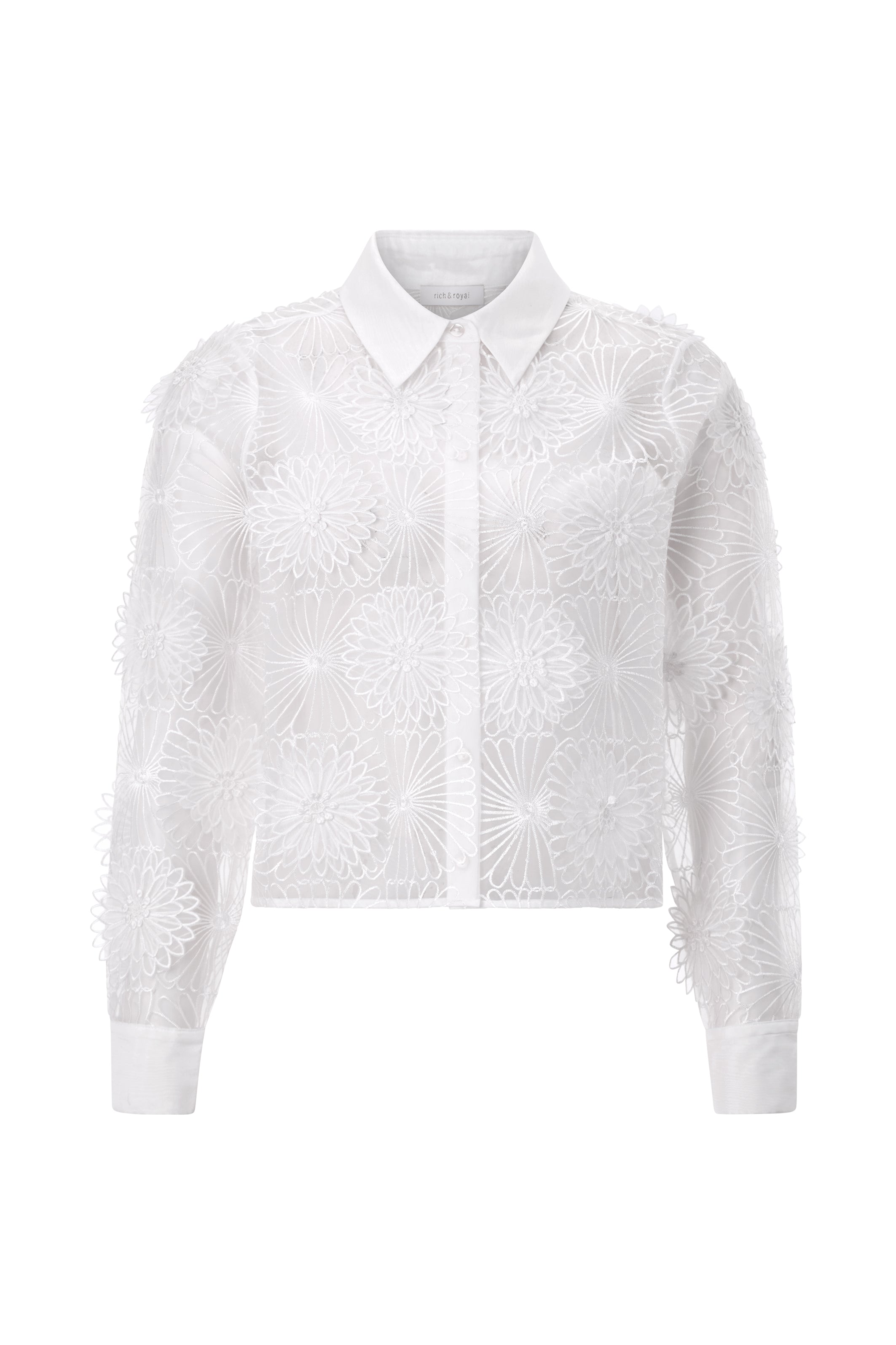 Bluse - Transparent
