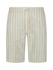 Shorts - Chino