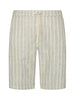 Shorts - Chino