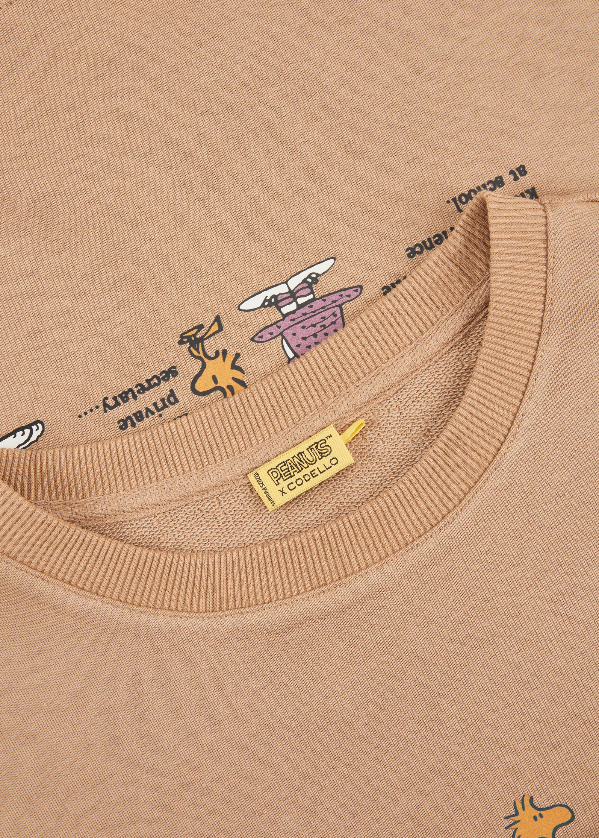 Sweatshirt -Peanuts