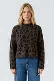 Pullover - Animalprint